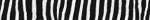 zebra print